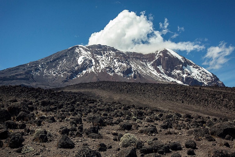 Kilimanjaro Lemosho Route